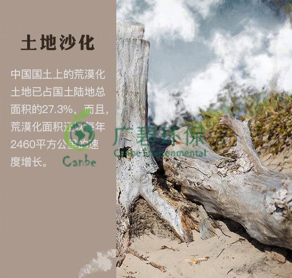 世界地球日 我們能為地球做些什么？(圖4)