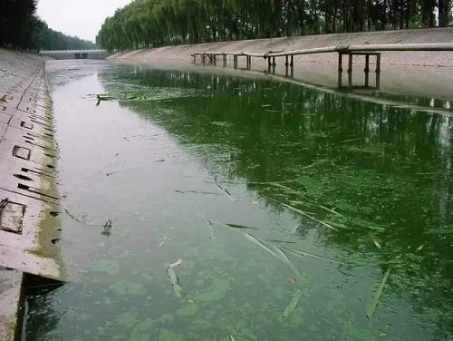 城市黑臭河道如何治理？河道黑臭水體治理思路(圖1)