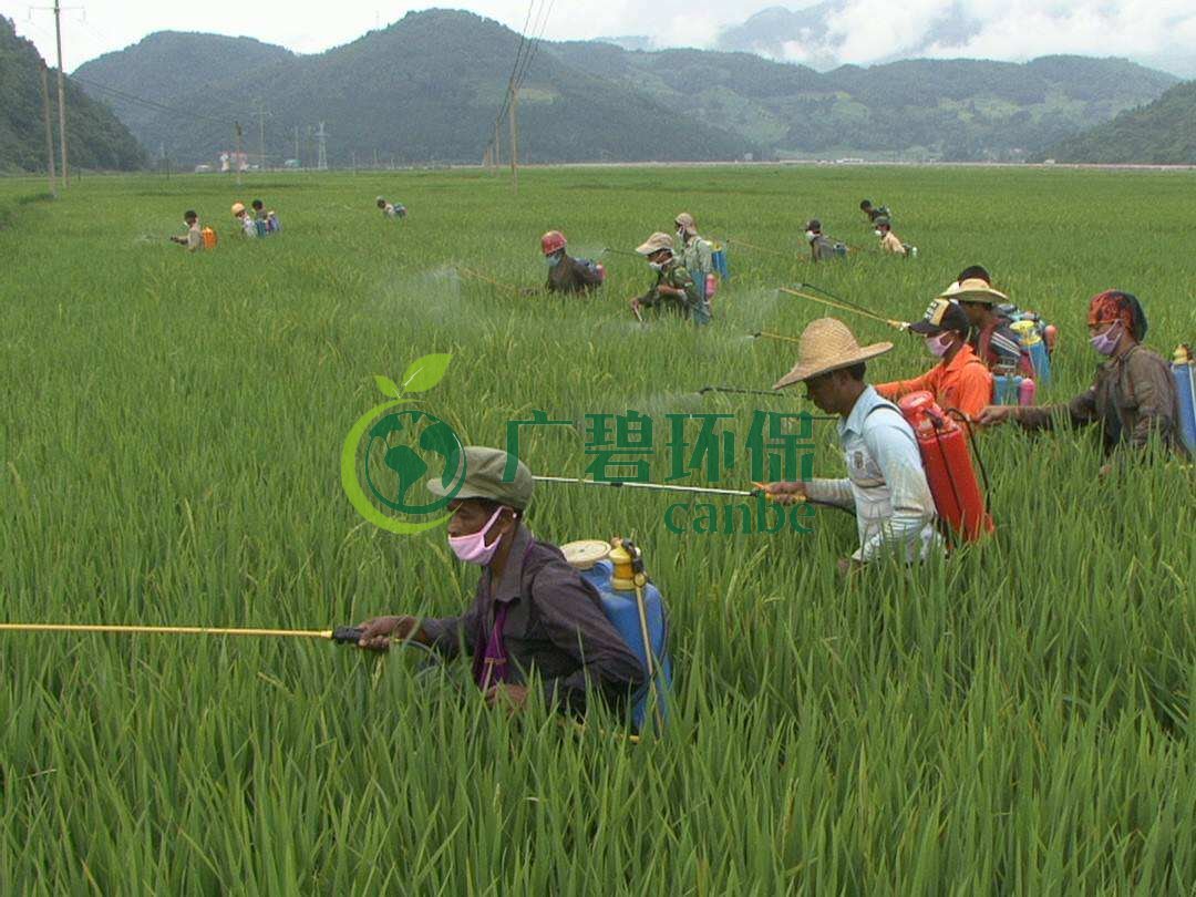 農(nóng)藥廢水是什么？農(nóng)藥廢水特點與處理工藝(圖1)